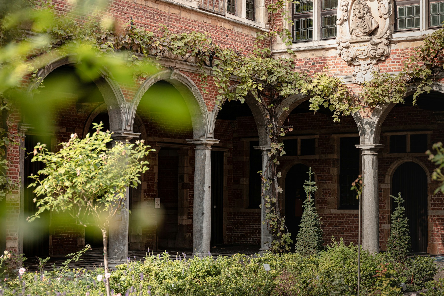 Batiment avec arche et vegetation a Anvers, Belgique